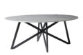 Eetkamertafel DT- Marble Oval Web White 200cm