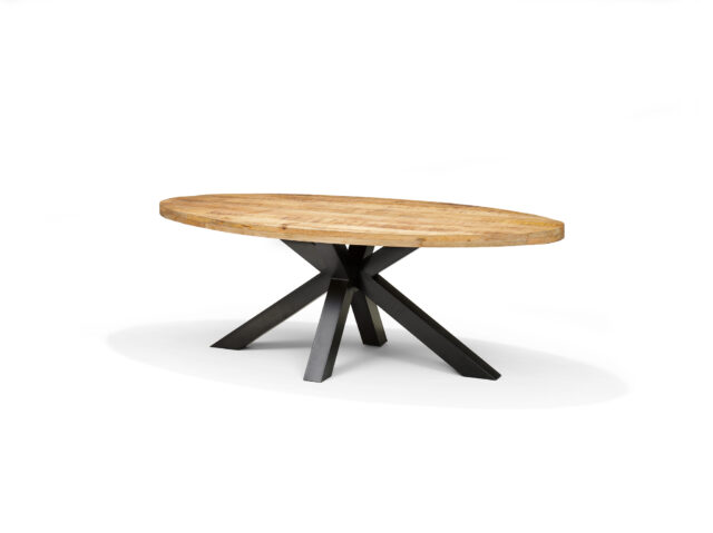 Eetkamertafel Stenvad 8211 Mangohout 8211 200x100cm Ovaal