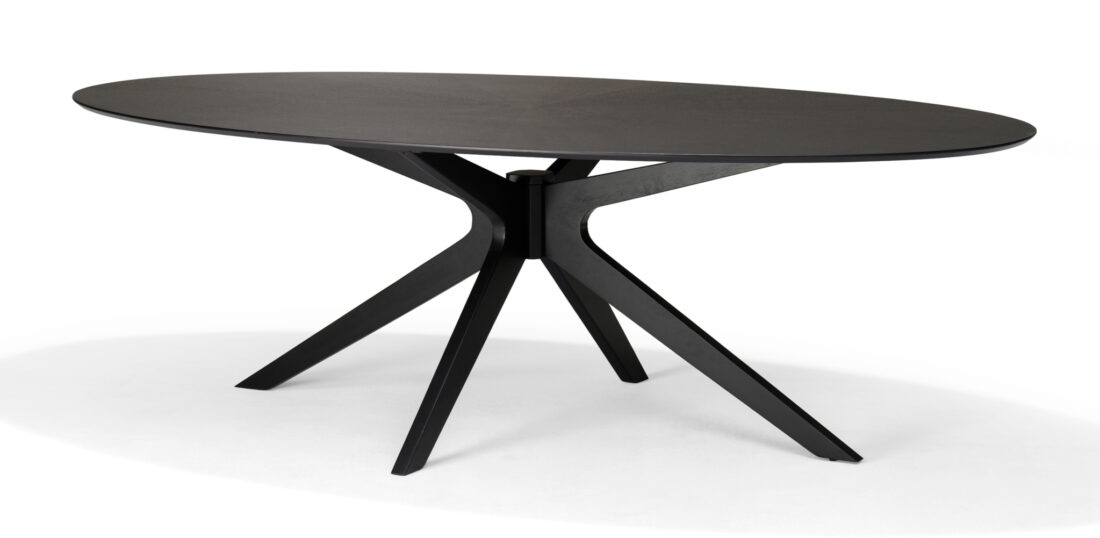 Julia 120x70 Salontafel Ovaal Eiken Zwart
