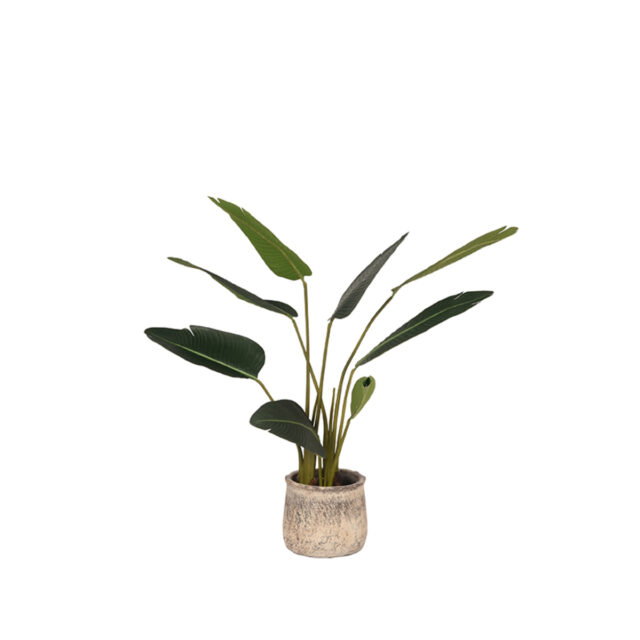 Strelitzia 8211 Groen 8211 Kunststof 8211 100 Cm