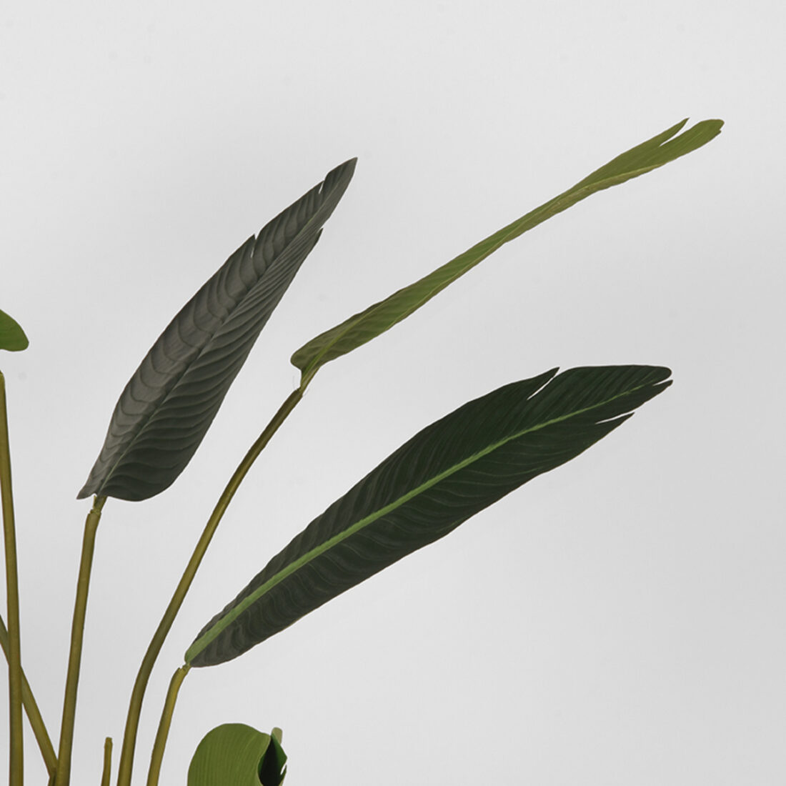 Strelitzia 8211 Groen 8211 Kunststof 8211 100 Cm