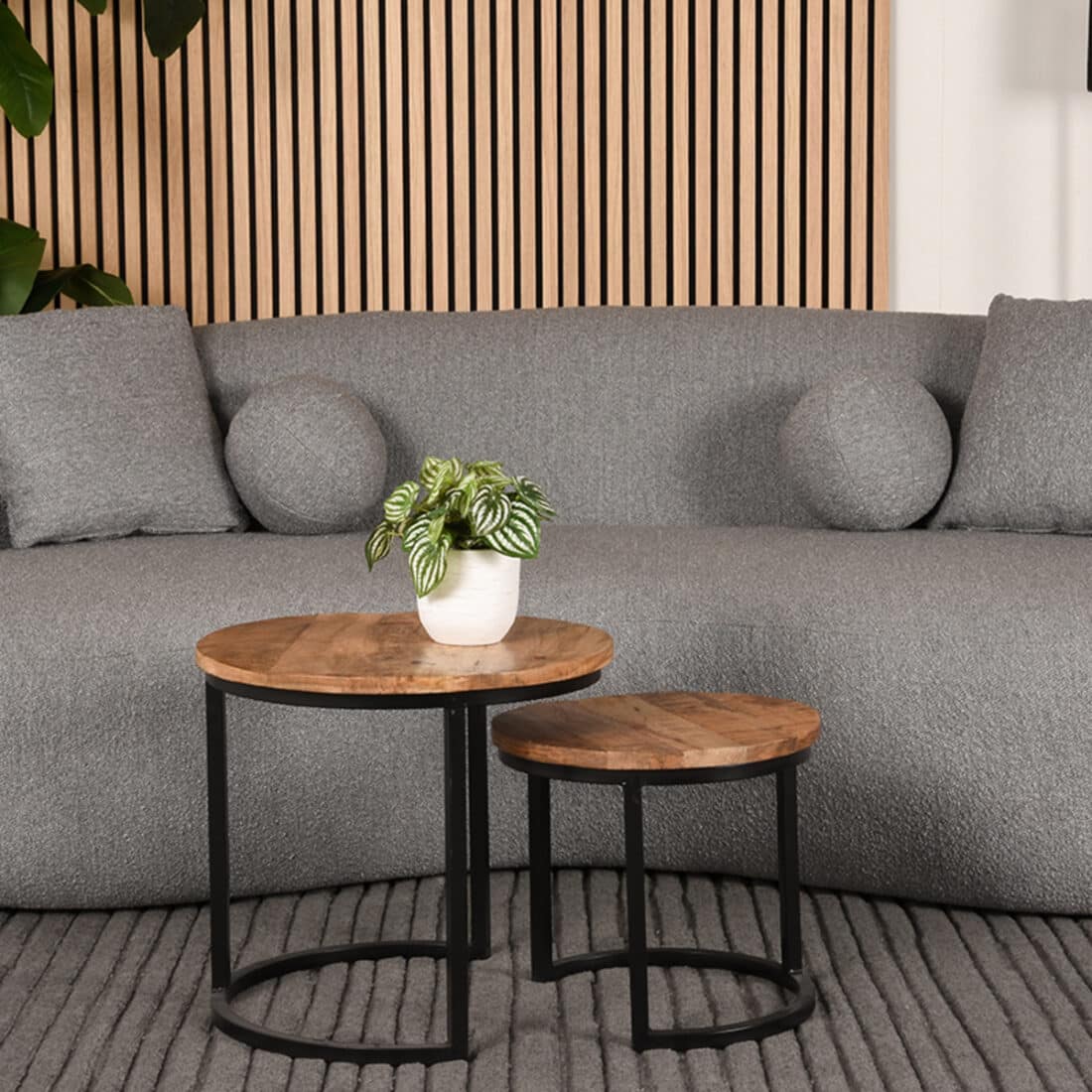 Vloerkleed Luxy 8211 Antraciet 8211 Wol 8211 200 215 300 Cm