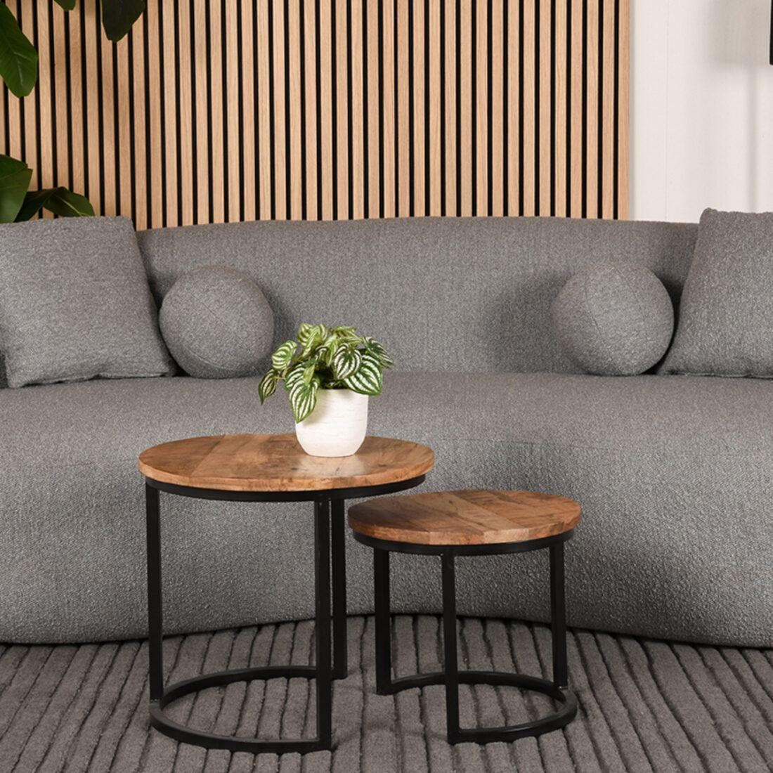 Vloerkleed Luxy 8211 Antraciet 8211 Wol 8211 160 215 230 Cm