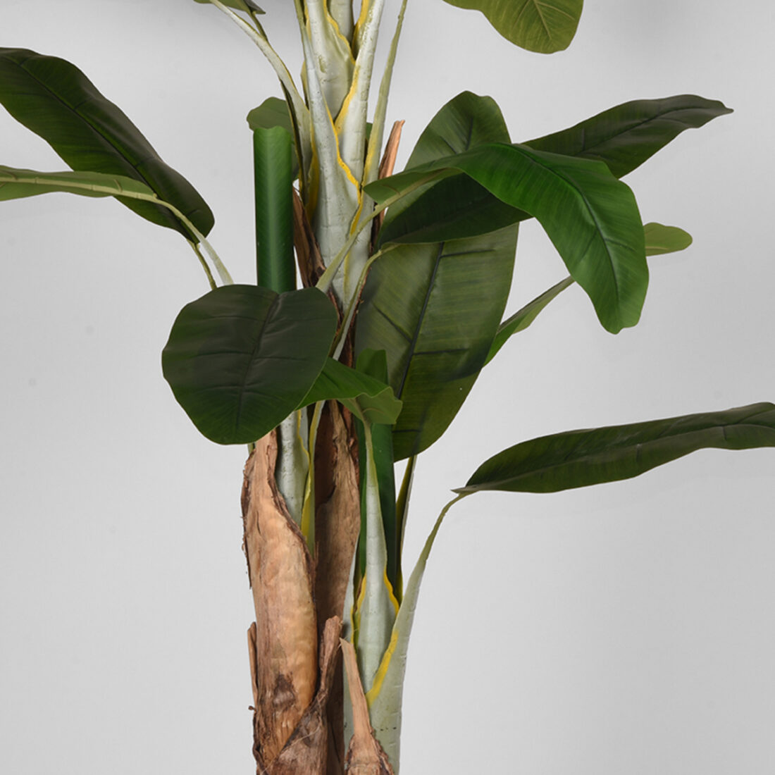 Musa 8211 Groen 8211 Kunststof 8211 180 Cm