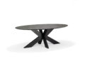 Eetkamertafel Switch - Ceramic Terra decor - Ovaal - 180x100 cm