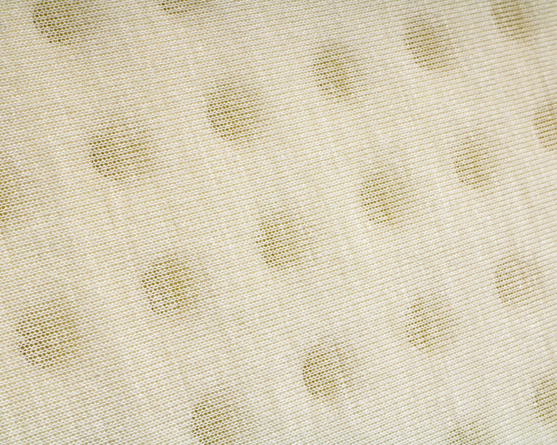 Orthopedisch Alo Vera Viscogel Kussen