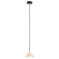 Hanglamp Elit - Zwart / Goudkleur - 1 lamps