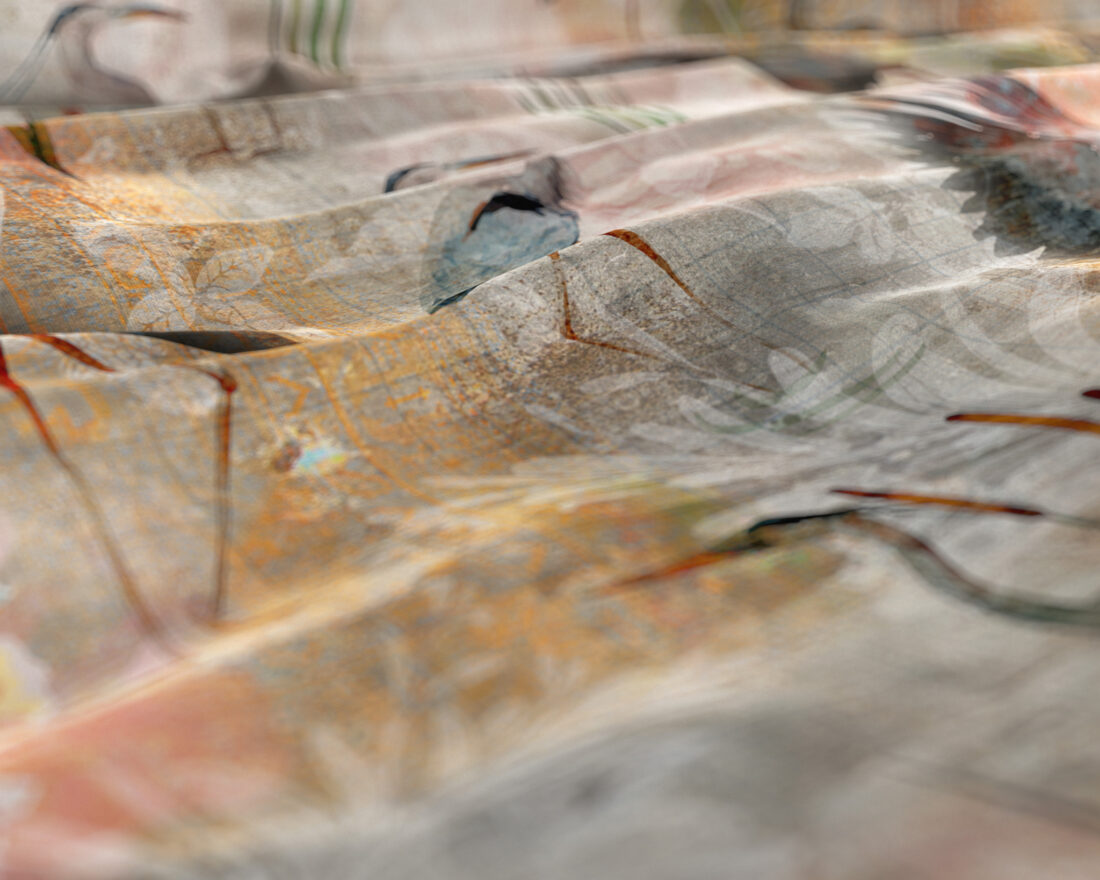 Dahila Meerkleurig 240 X 220