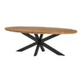 Eetkamertafel Peru - Rough Mangohout - Ovaal - Metaal - 180 cm