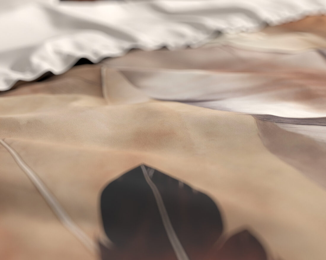 Feathura Taupe 240 X 200 220