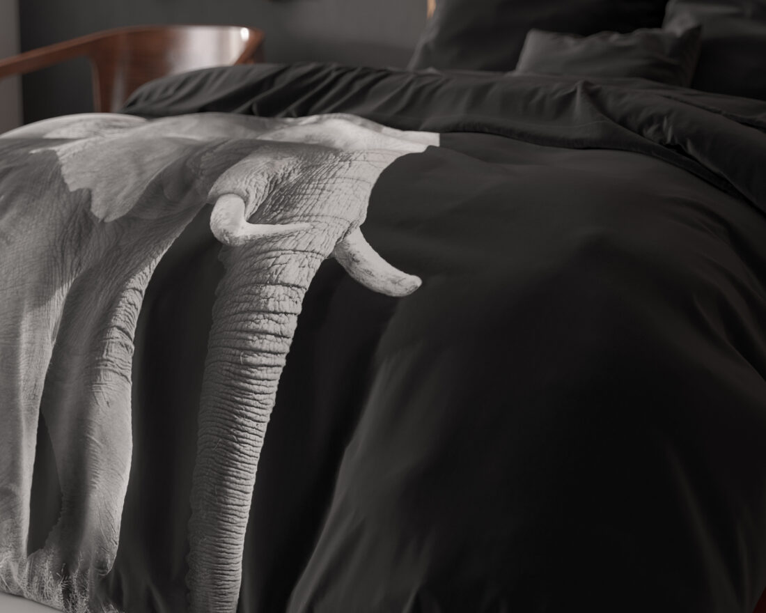 Olifant Zwart 240 X 200 220