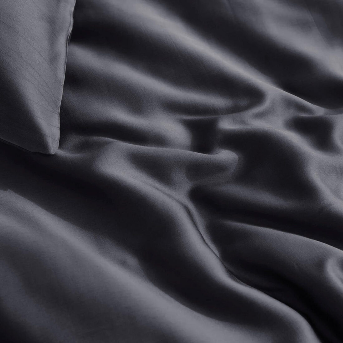 100 Bamboe Antraciet 240 X 200 220