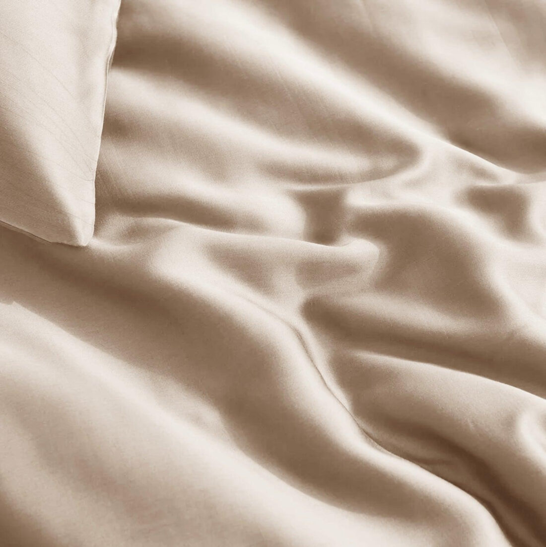 100 Bamboe Taupe 240 X 200 220