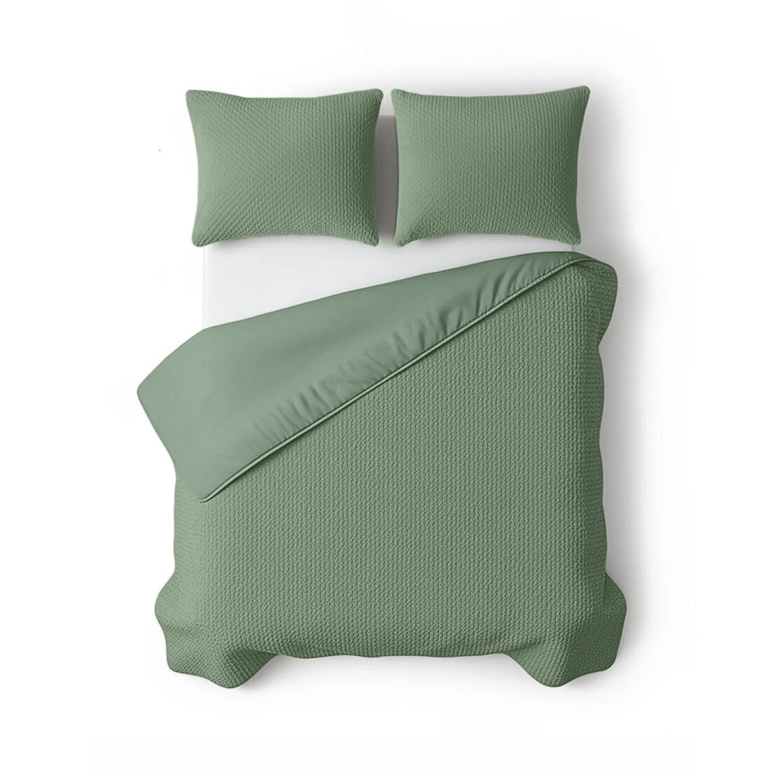 Bont Teddy Groen 240 X 200 220