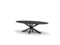 STAR Salontafel 130x70 Ovaal Mangohout Zwart
