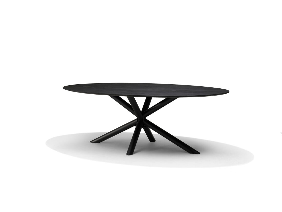 Sirius Eettafel 240 X 120 Cm Ovaal Mangohout Zwart 3 Cm