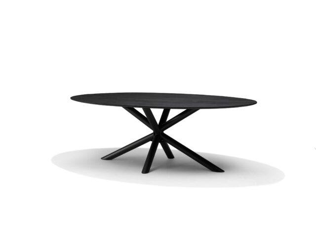 Sirius Eettafel 240 X 120 Cm Ovaal Mangohout Zwart 3 Cm