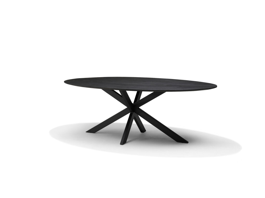 Star Eettafel 190 X 120 Cm Ovaal Mangohout Zwart 3 Cm