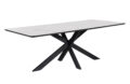 Star 210x100 Rechthoek HPL Wit Marmer 25 mm