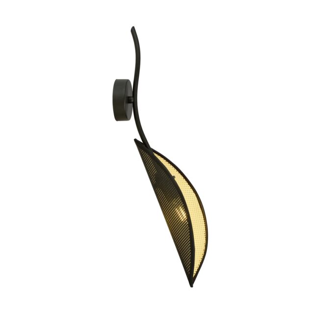 Lotus K1 Zwart Goud
