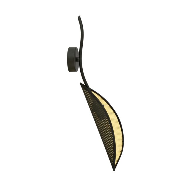 Lotus K1 Zwart Goud