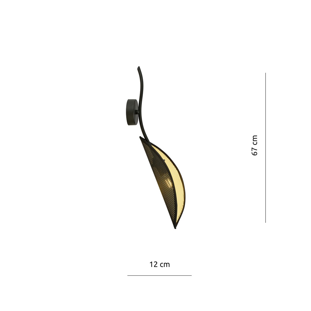 Lotus K1 Zwart Goud